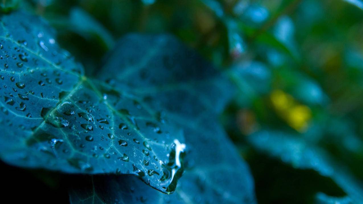 苹果手机微信绑定了手机号怎么解绑 ， 没有绑定手机号怎样解绑微信号  - 55dz账号网