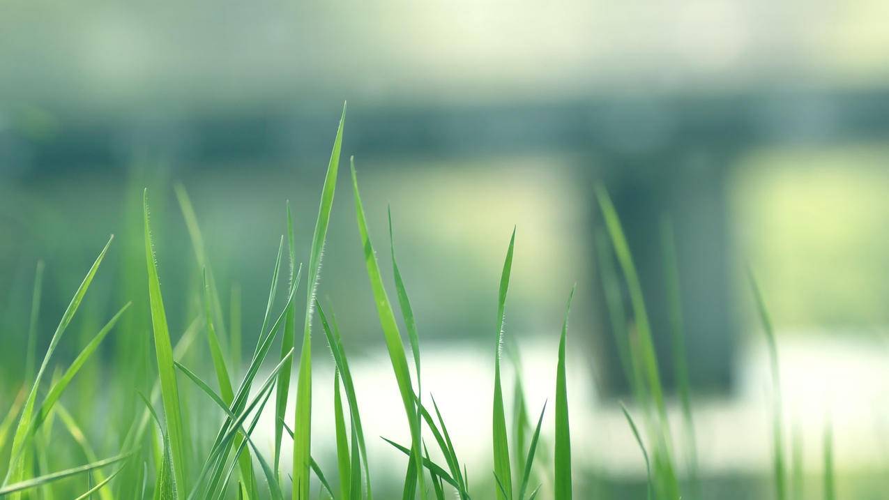 拼多多助力上线攻略视频_拼多多助力
