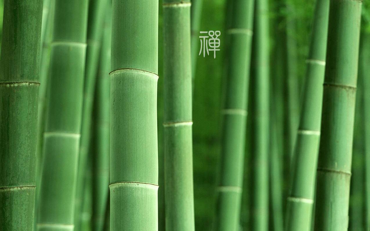 拼多多买助力靠谱吗_pdd助力