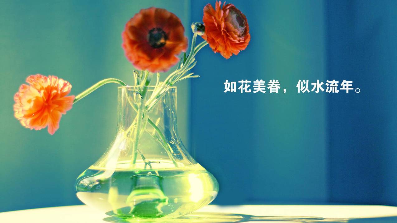 韩国苹果id被别人修改了邮箱_最潮最火女生头像 霸气 - 韩国苹果id - 55dz账号网