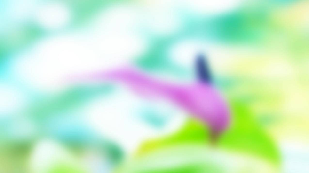 拼多多被邀请的好友如