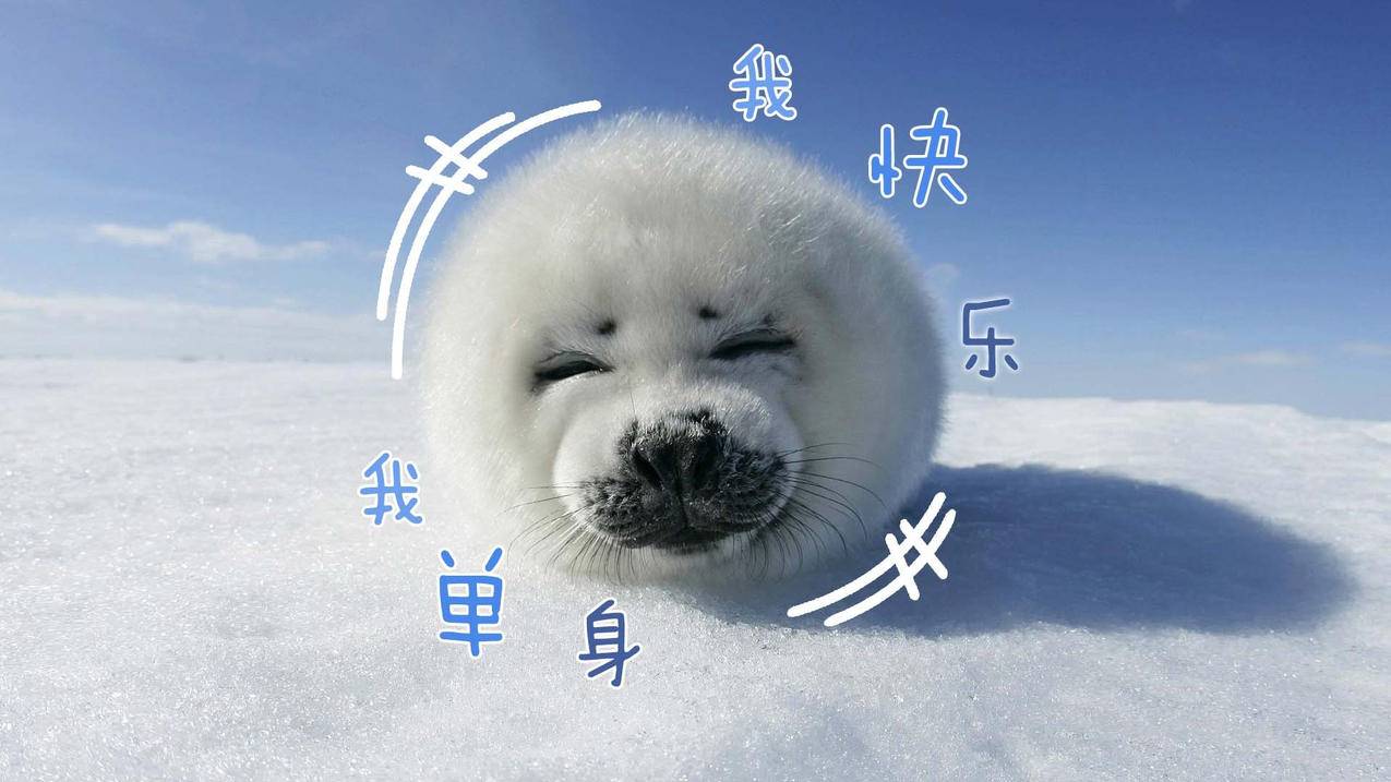 如何提高初中数学大纲的质量？ - 初中教育 - ks24小时自助