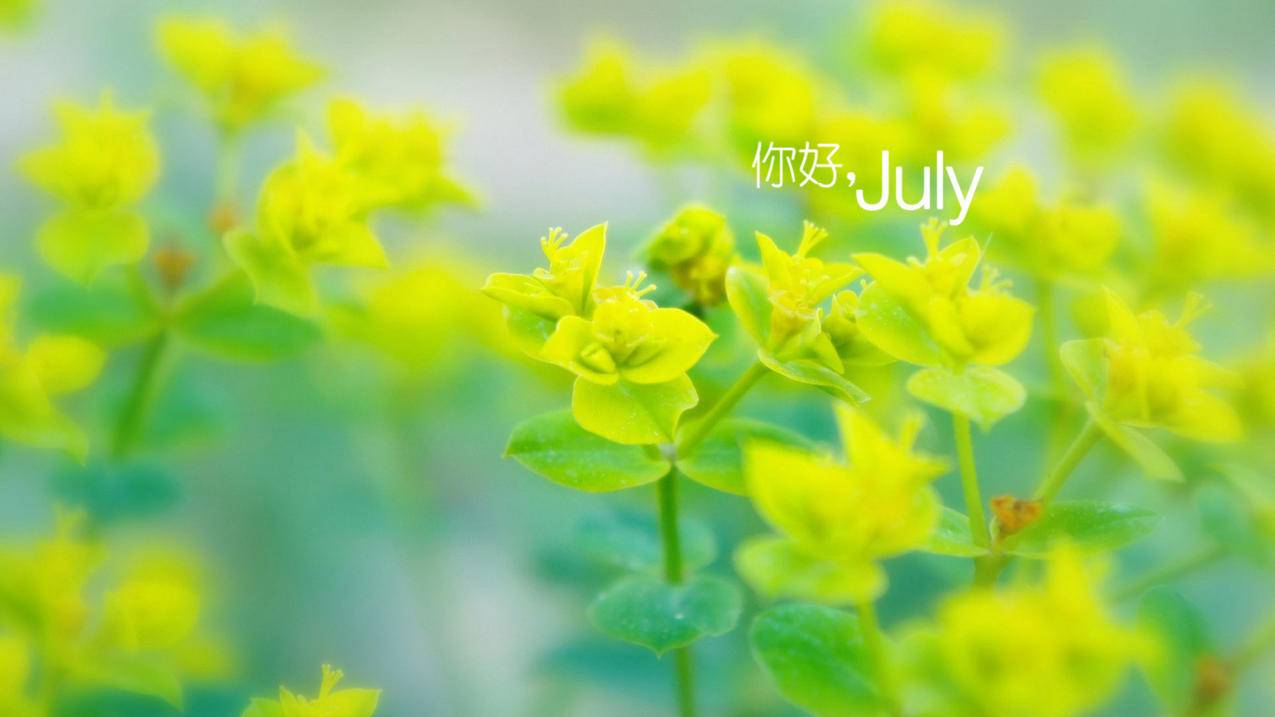 抖音快手微信公布微短剧备案细则 获得备案号后方可播出-苹果id平台