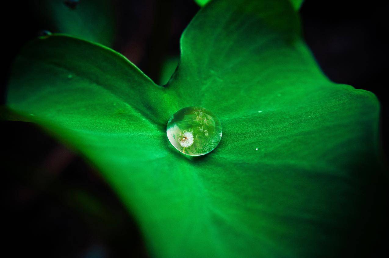 美服苹果id收验证码次数太多多久解除_美服苹果id收验证码次数太多多久解除 - 美国苹果ID - 55dz账号网