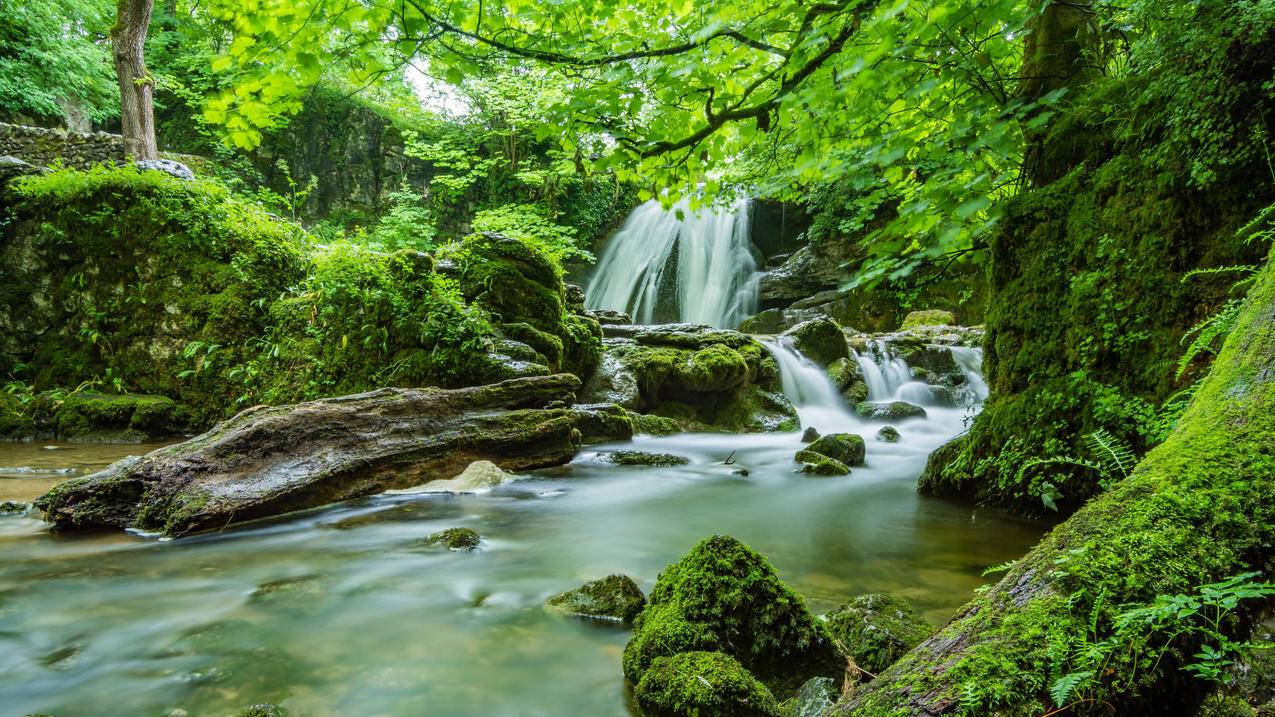 联发科天玑8400被曝12月23日登场：天玑9400旗舰同款GPU-苹果id平台