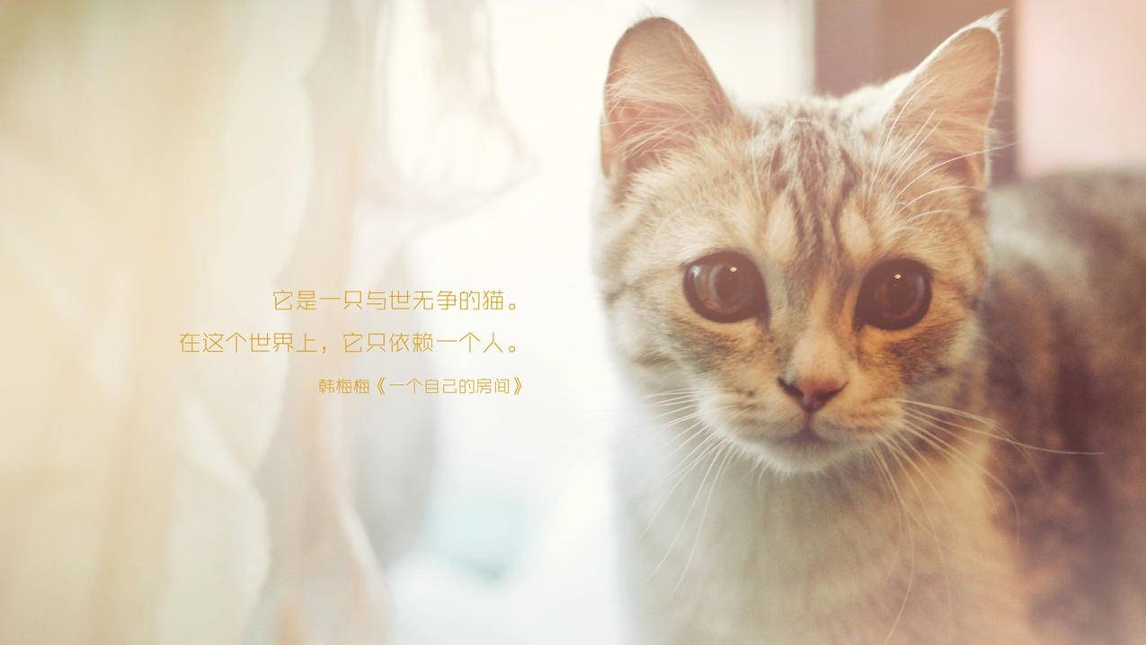 鹤壁拼多多助力,共筑电商新篇章 - 多多助力网站,pdd助力平台,拼多多砍价助力网,拼多多业务平台自助下单_助力网