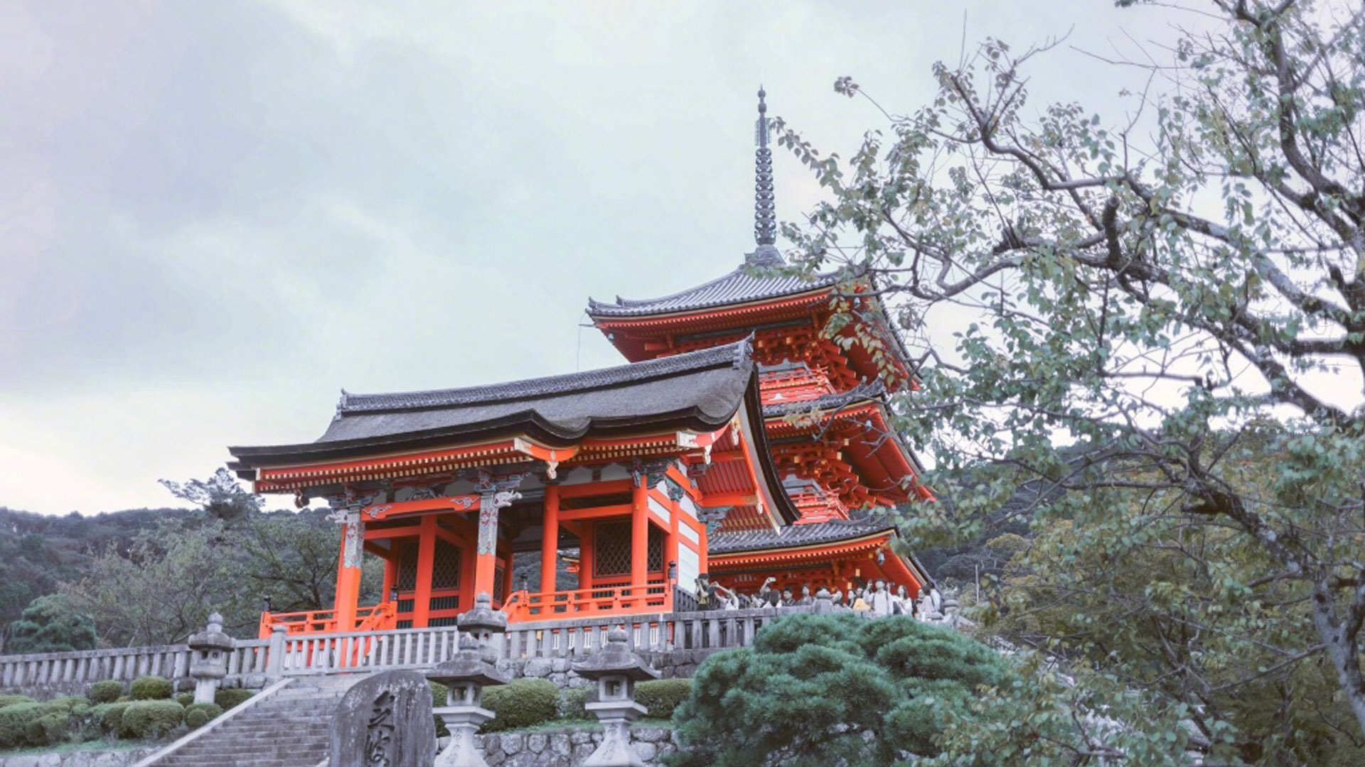 拼多多助力国外，开启