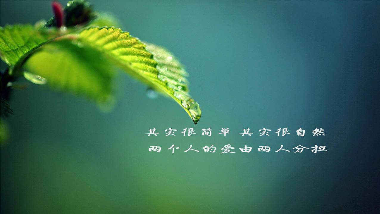 拼多多助力在线自助平台的崛起与变革_拼多多助力