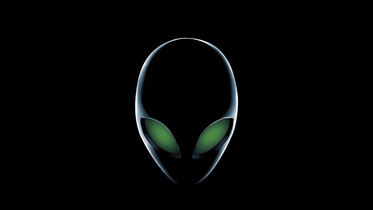 讯飞输入法最新版本2021官方下载_讯飞输入法2019最新版 - skype相关 - 55dz账号网