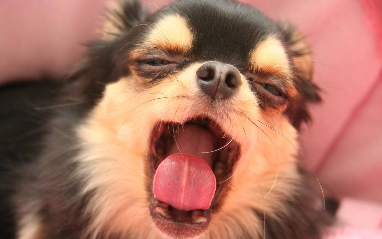 拼多多助力拉人进群的策略与影响_拼多多助力