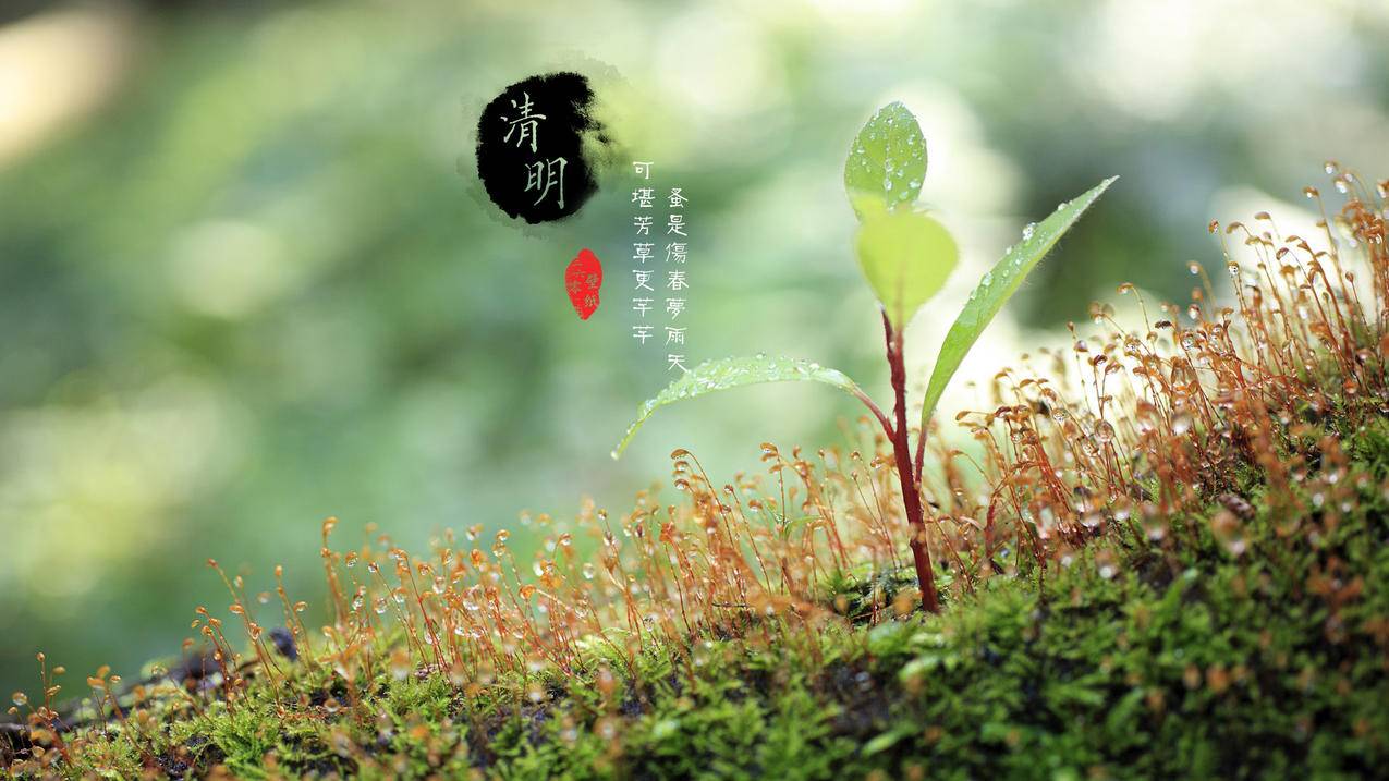 拼多多助力外挂网址的真相与思考_拼多多助力