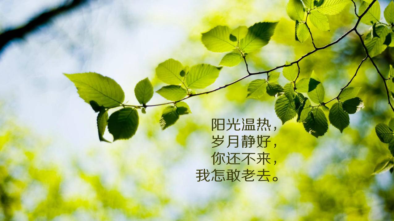 拼多多最新大转盘助力攻略，玩转助力，轻松赢大奖！_拼多多助力
