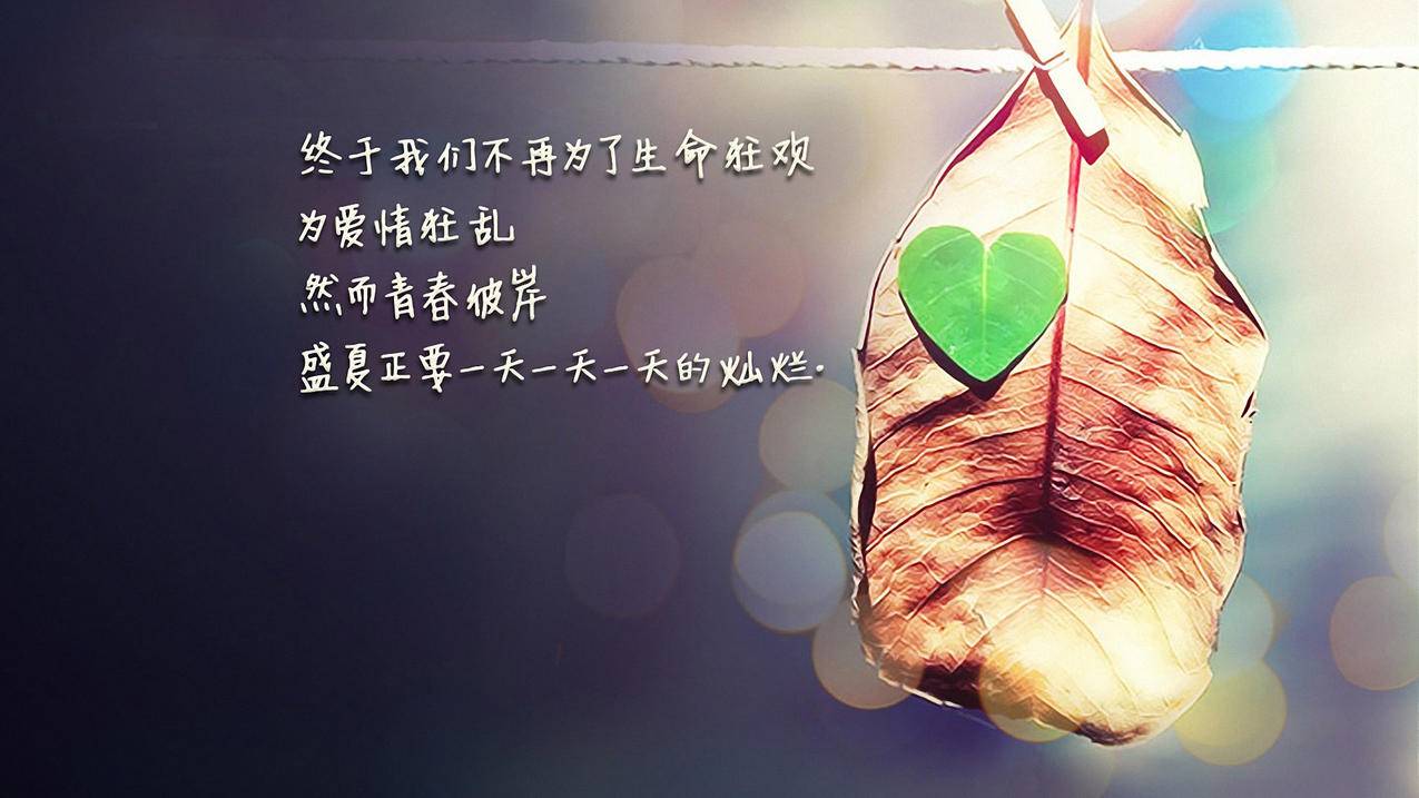 携手共拼，好友助力拼多多_拼多多助力