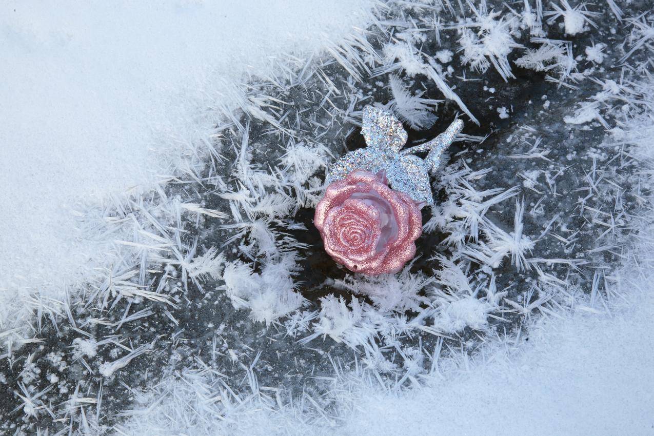 越南苹果id怎么总是无法登录 - 各区苹果ID - 55dz账号网