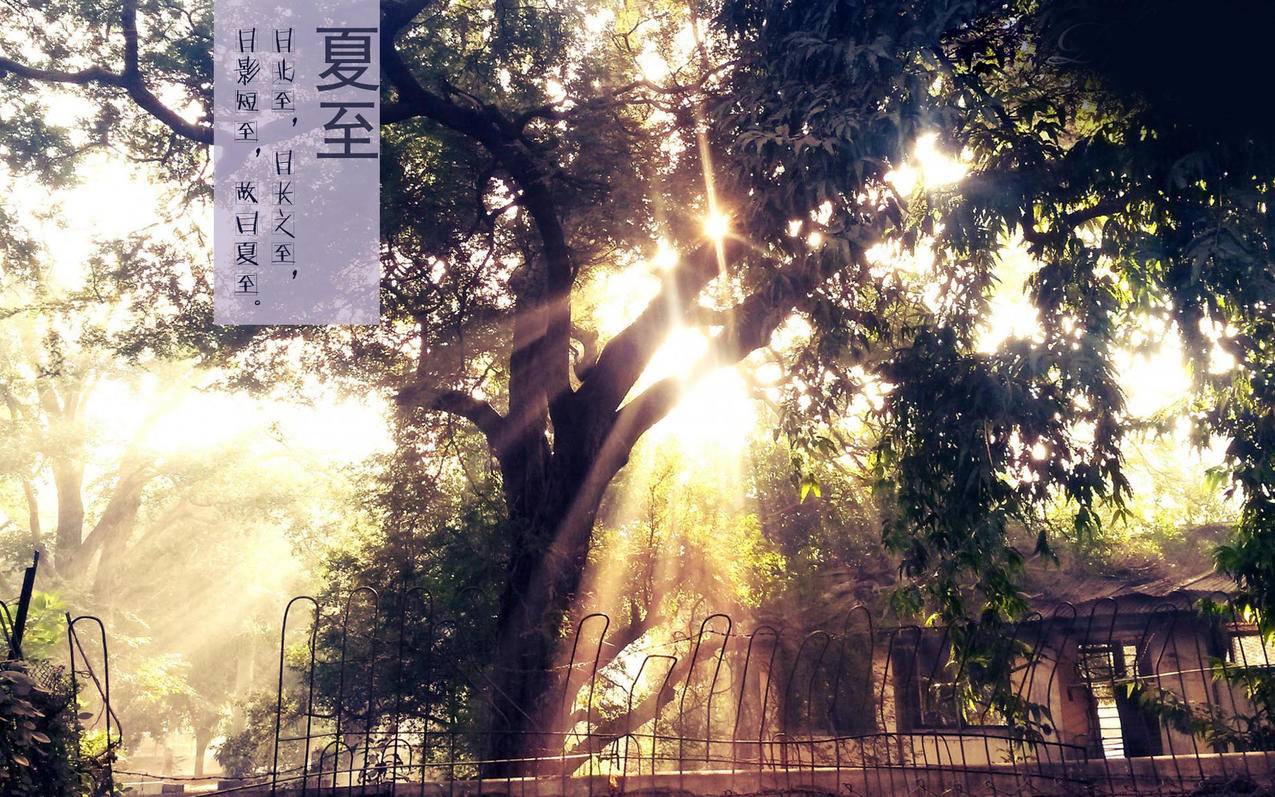 拼多多邀人助力表情包，网络时代的助力神器_助力平台_拼多多助力|24小时砍价助力网|拼多多助力群