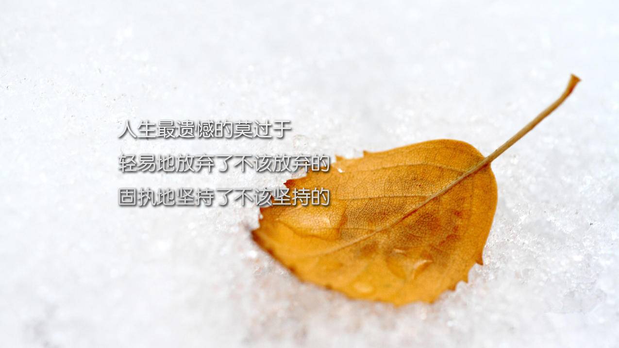 拼多多助力查询图标位置详解_拼多多助力