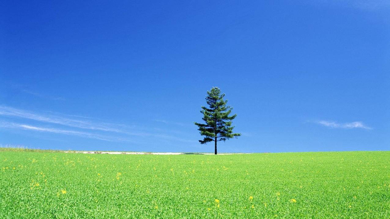 拼多多助力口令已复制，解锁社交电商新体验_拼多多助力