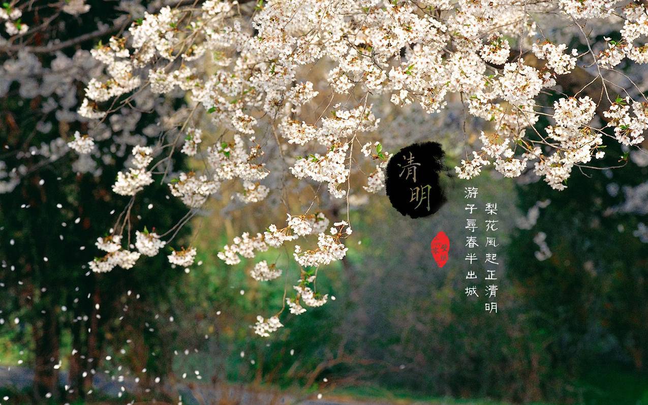台湾苹果id账号被锁定_苹果手机台湾id账号 - 台湾苹果ID - 55dz账号网
