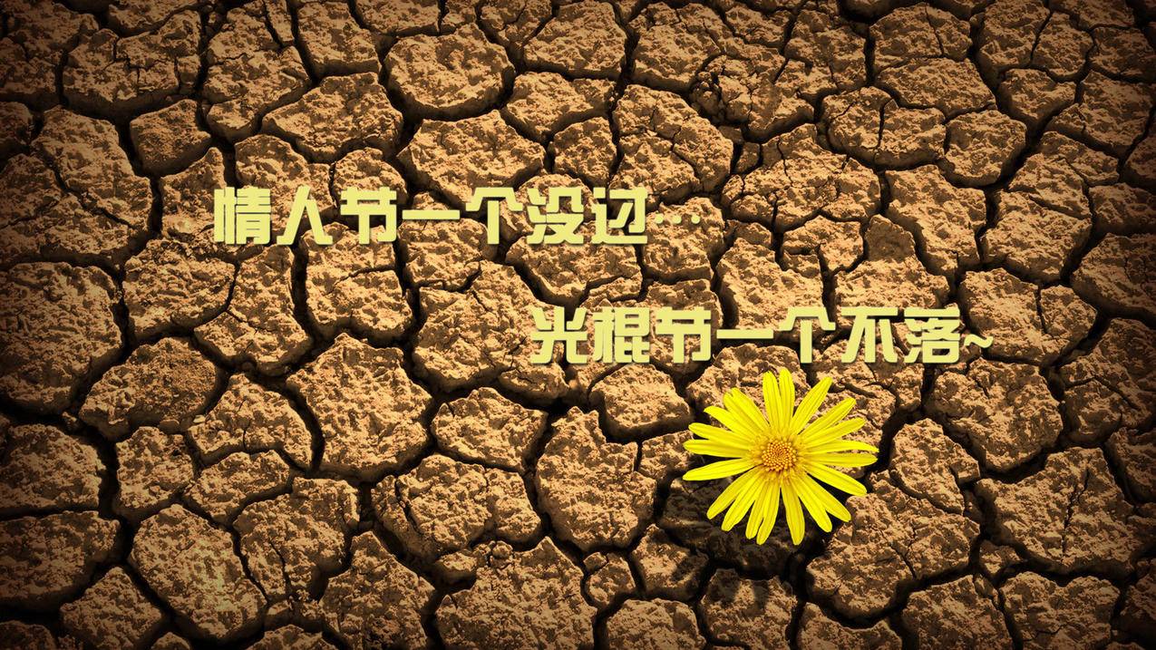 拼多多“助力”活动引争议：用户质疑实际效果与宣传不符 - 拼多多助力网站 - 拼多多助力网站