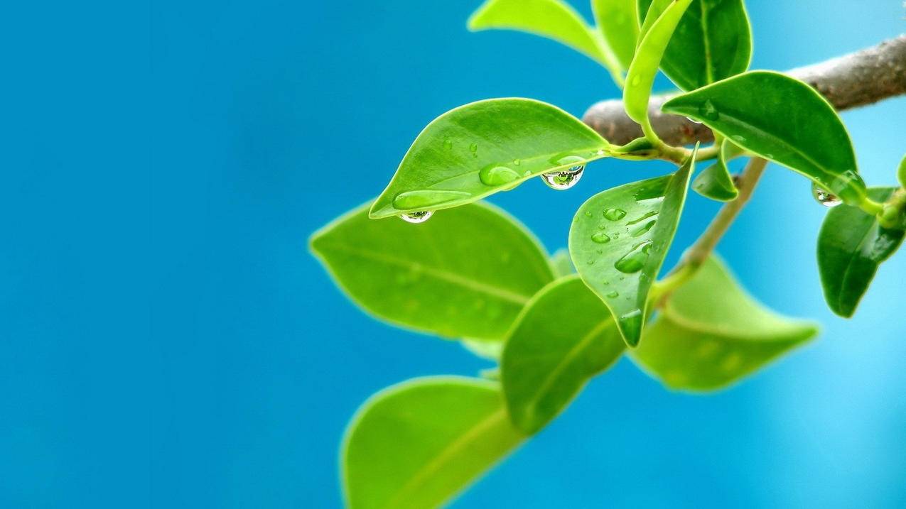 差价关税是什么意思?-苹果id平台