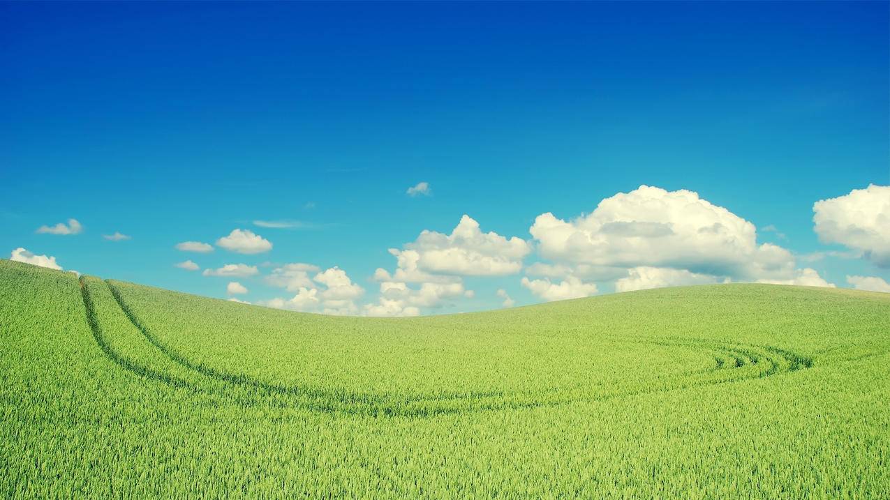 苹果ID显示验证失败怎么解决? , 为什么苹果id验证失败 - 55dz账号网