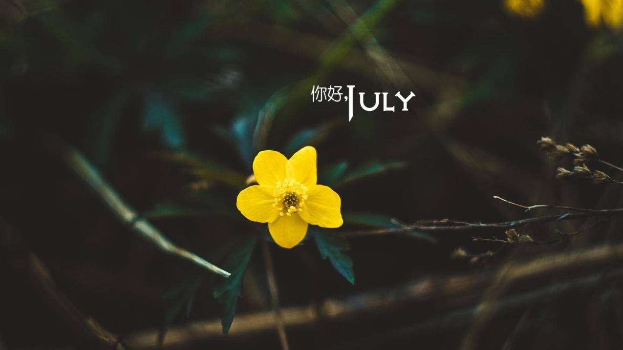 拼多多砍价QQ群大全，拼多多砍价QQ群二维码免费进