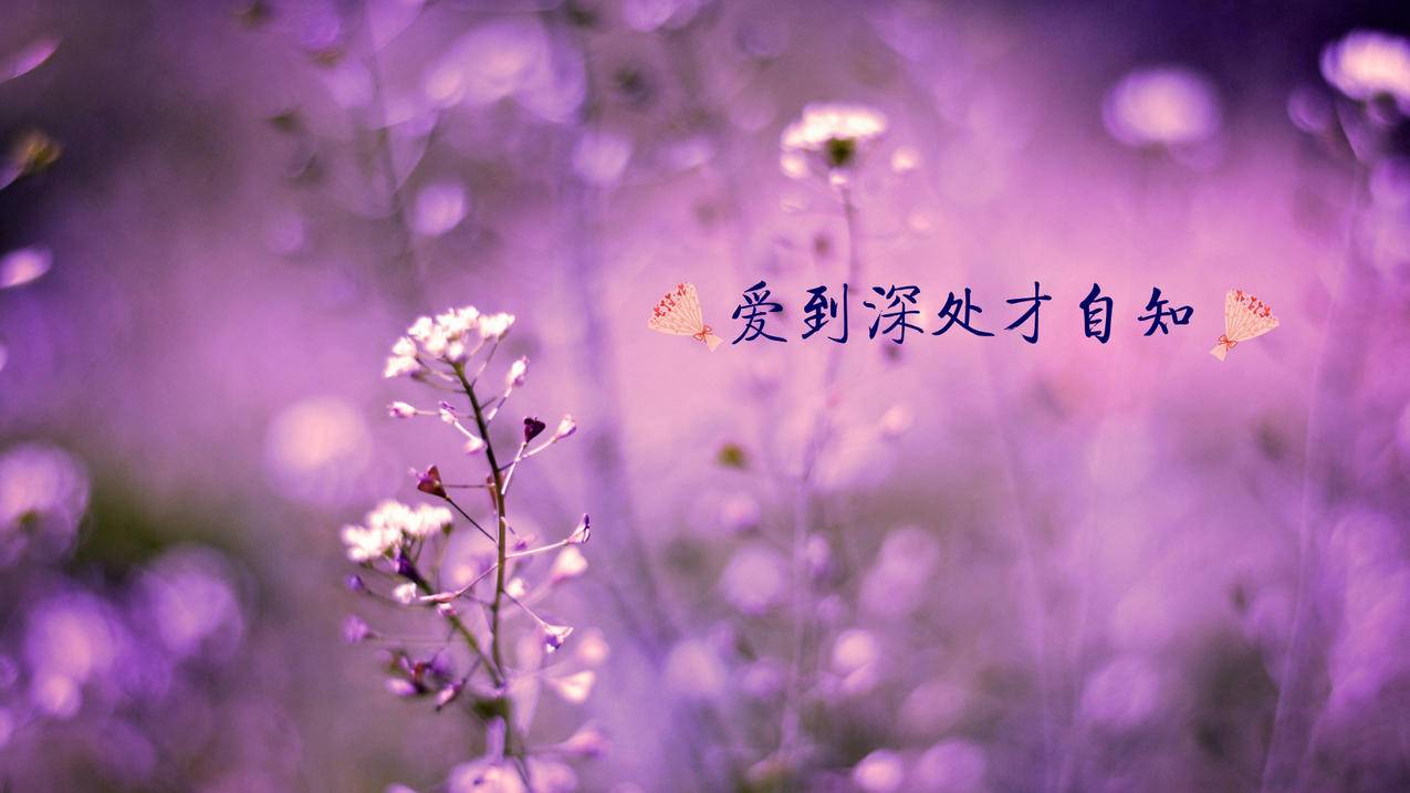 拼多多助力砍价平台，革新电商购物体验_砍价群_拼多多助力|24小时砍价助力网|拼多多助力群