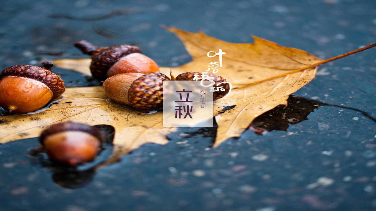 苹果商店怎么换菲律宾id（苹果商店怎么切换到菲律宾） - 各区苹果ID - 55dz账号网