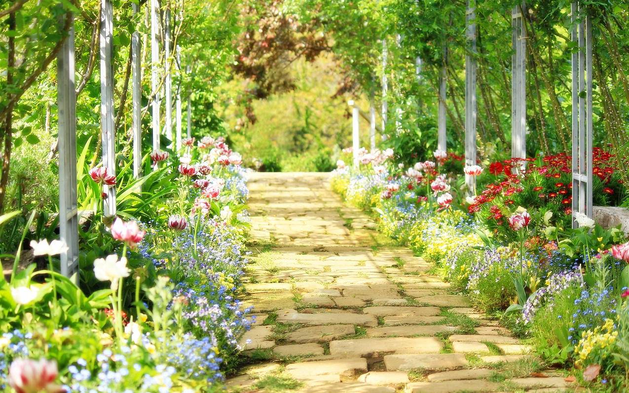苹果ID可以用手机号