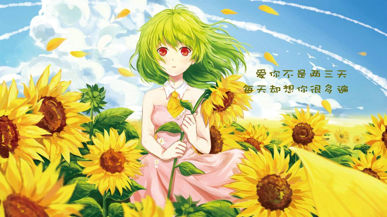拼多多助力,轻松弄到福袋——购物新体验的探索与分享_拼多多助力