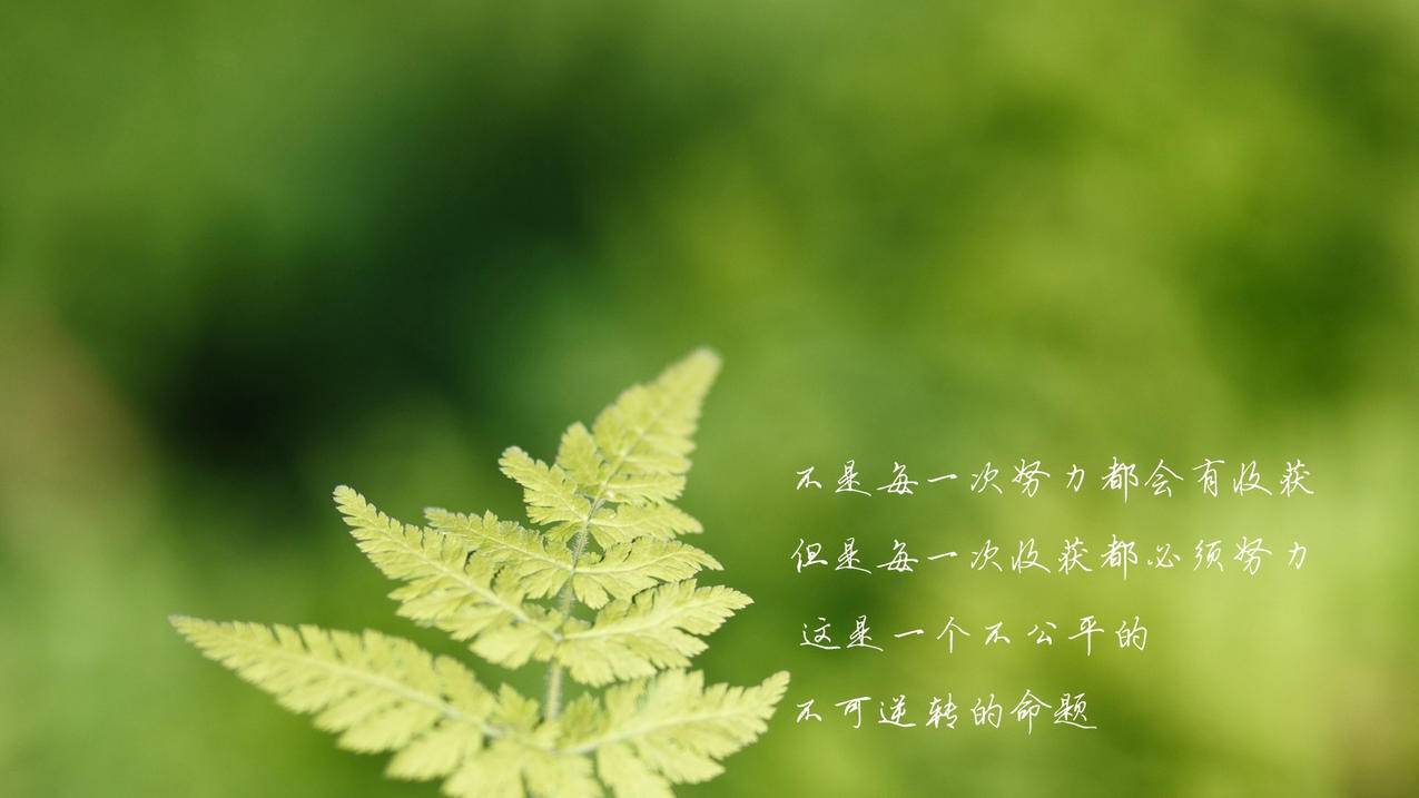 拼多多100助力邀请码的奥秘与使用指南_拼多多助力