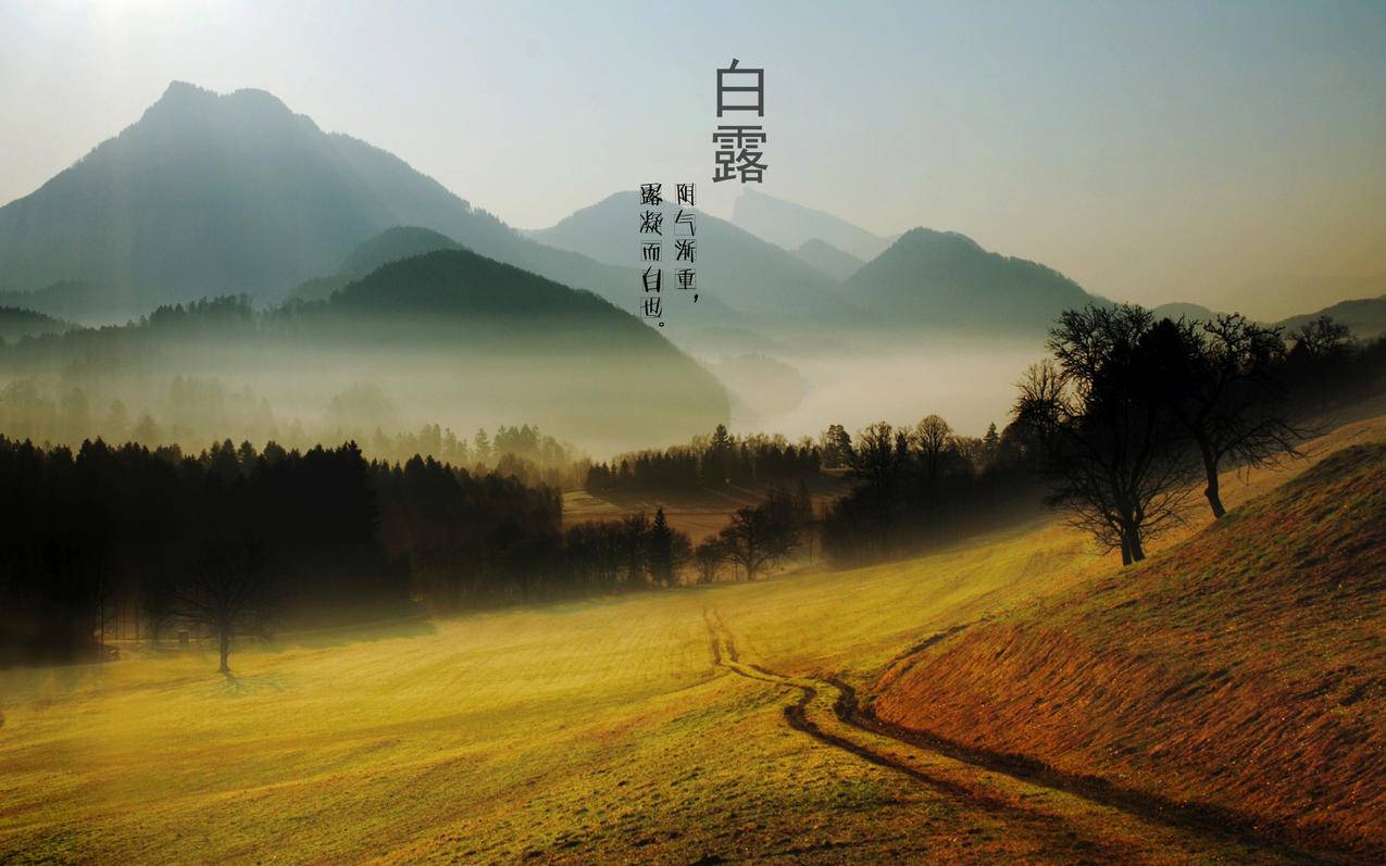 拼多多复制助力成功截图，揭秘购物新风尚_拼多多助力