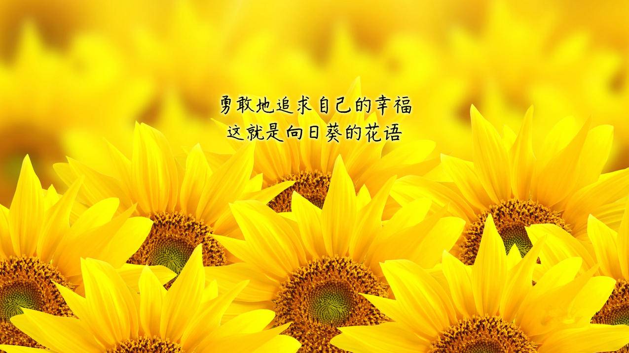 千川如何看客户属性？ - 低价业务 - dy业务网