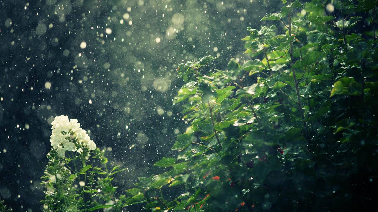 拼多多助力群，购物新潮流的背后与影响_拼多多助力