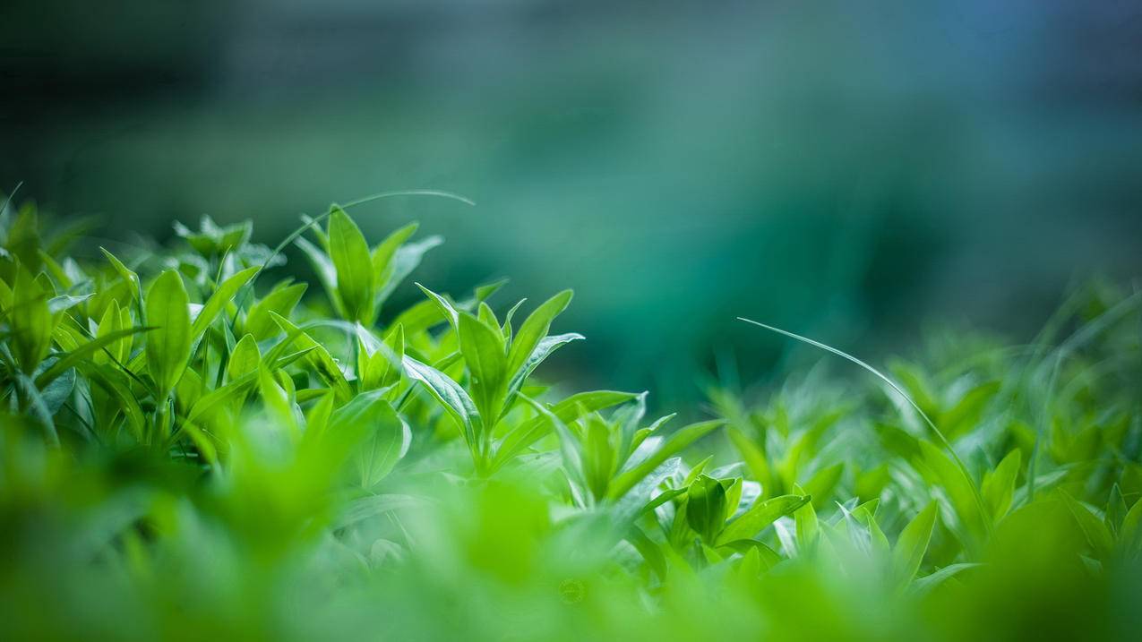 百度账号注册中心_百度账号注册中心在哪里 - skype相关 - 55dz账号网
