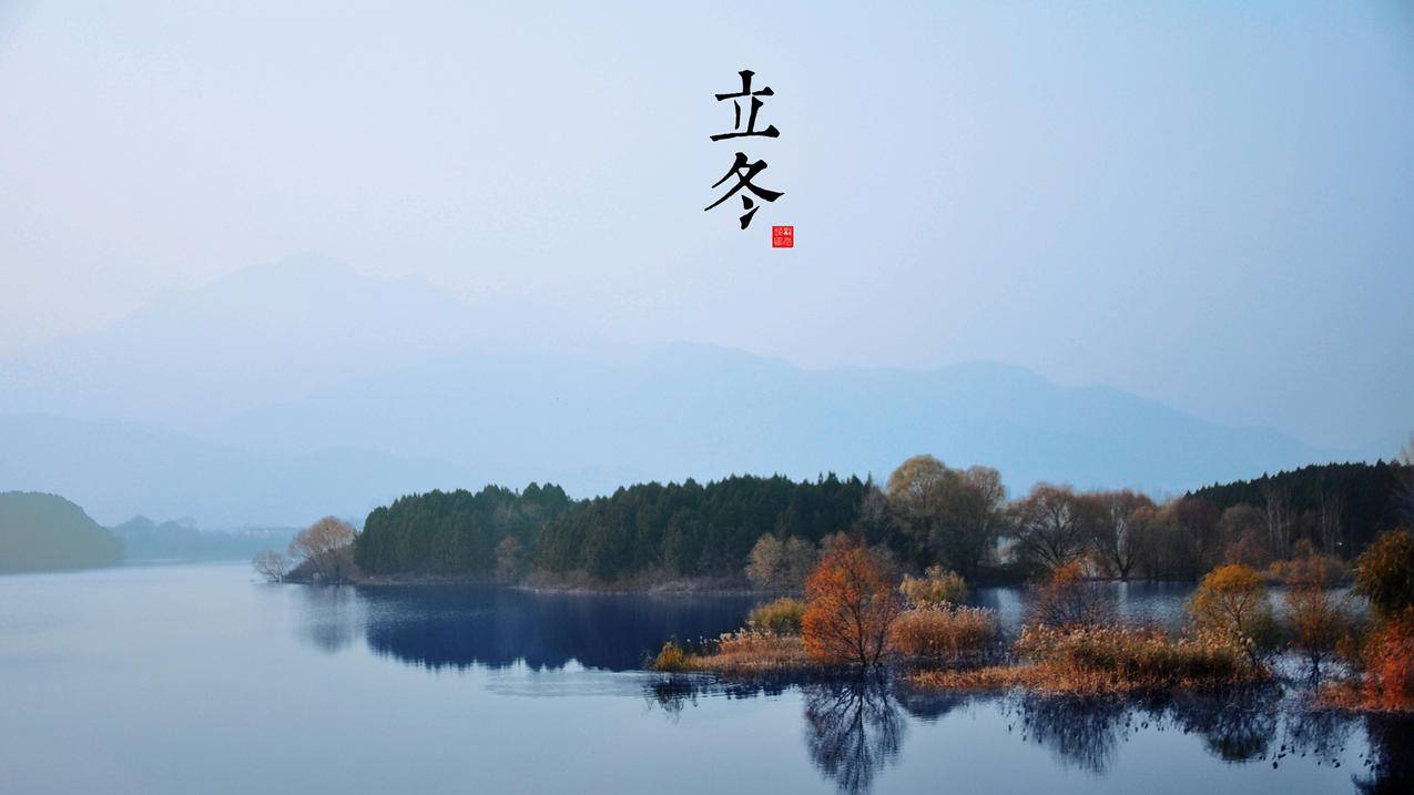 戴珊对拼多多助力的深度评价_拼多多助力