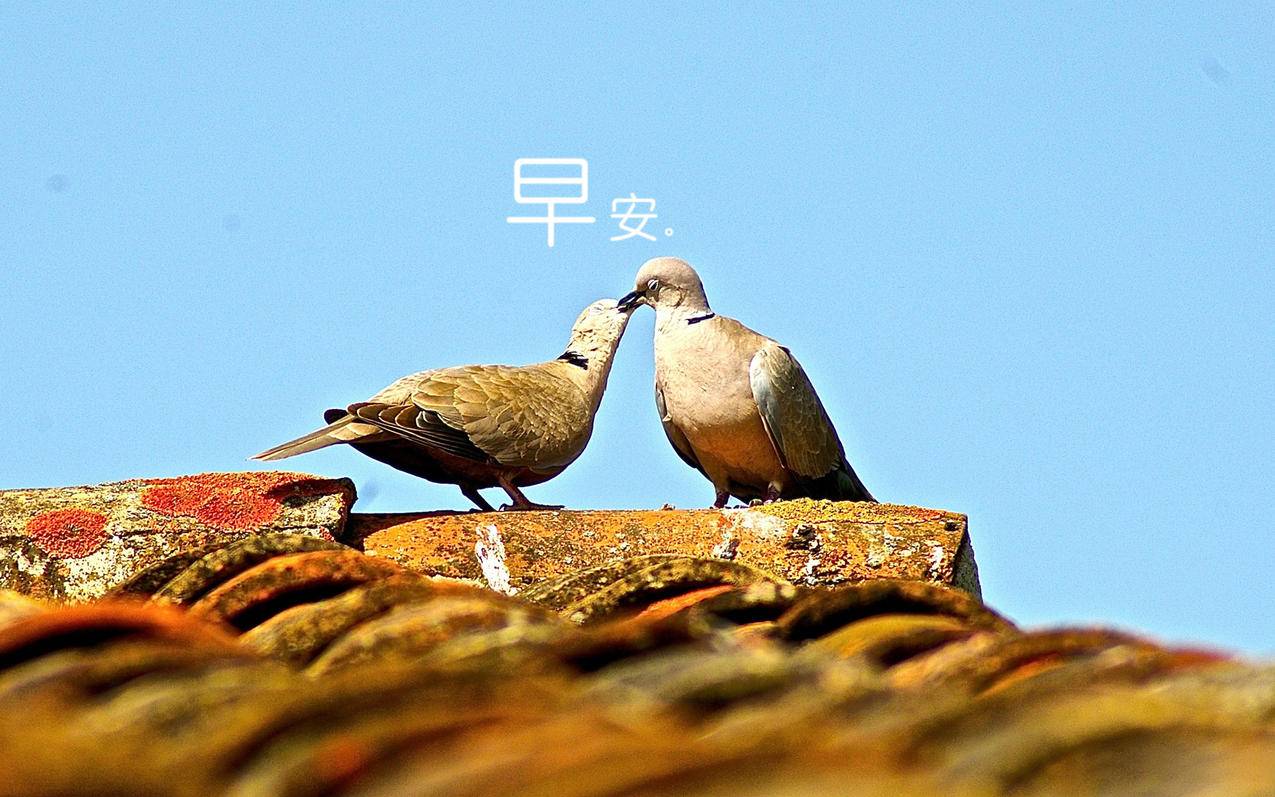 拼多多助力众优，共创共享新时代的电商力量_砍价群_拼多多助力|24小时砍价助力网|拼多多助力群