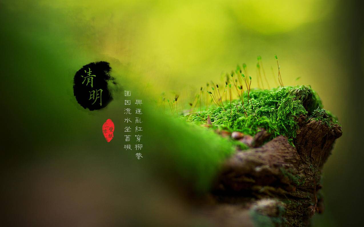 专门拼多多助力的人，背后的故事与力量_助力平台_拼多多助力|24小时砍价助力网|拼多多助力群