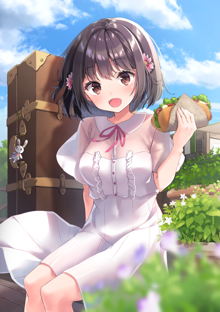appleid密码忘