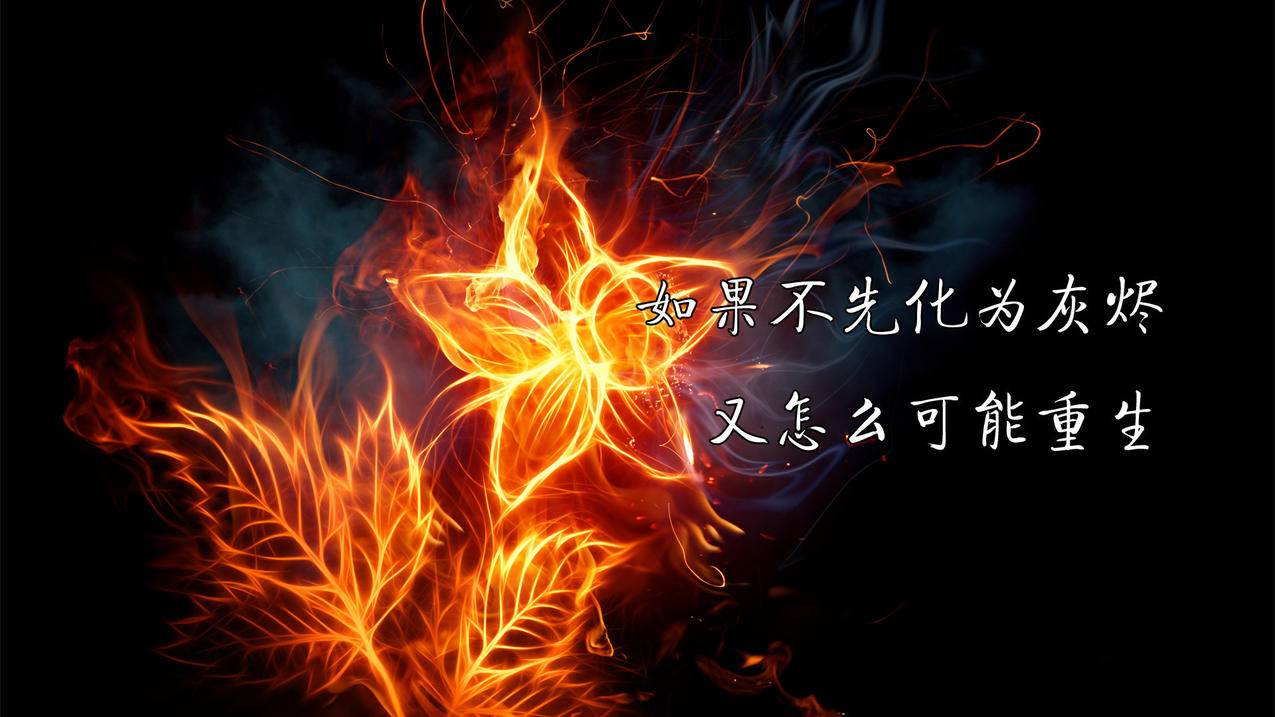 港服苹果ID最新共享