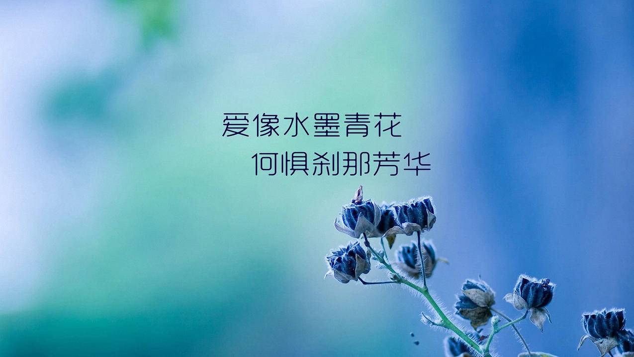 zoom能录制别人屏幕吗_zoom能录制别人屏幕吗手机 - zoom相关 - 55dz账号网