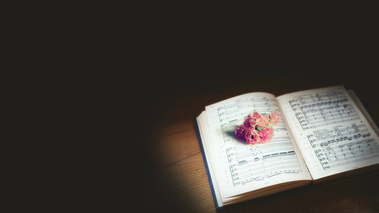 拼多多助力5金币碎片，购物新体验的探索与乐趣_拼多多助力