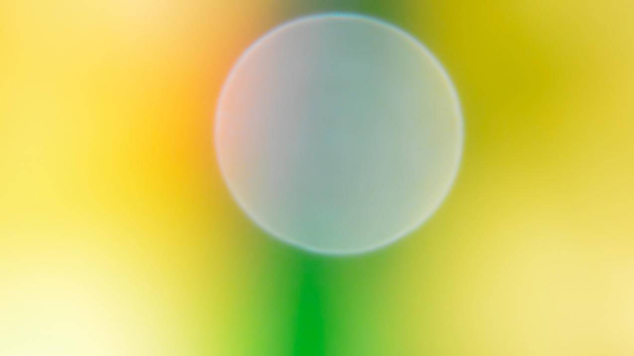 拼多多助力，双骰子开启新购物体验_拼多多助力