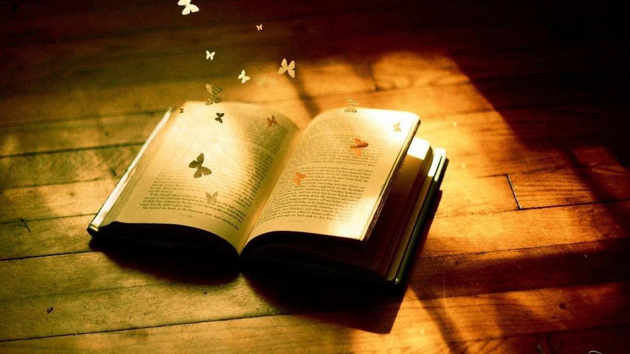 拼多多助力猫咪，开启爱心购物新篇章_拼多多助力
