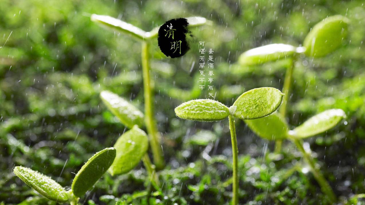 拼多多助力刷钱软件，探索与反思_助力平台_拼多多助力|24小时砍价助力网|拼多多助力群