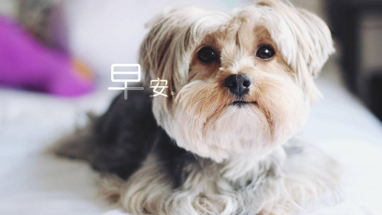 验证台湾苹果id服务器出错是什么意思_验证苹果id时服务器出错 - 台湾苹果ID - 55dz账号网