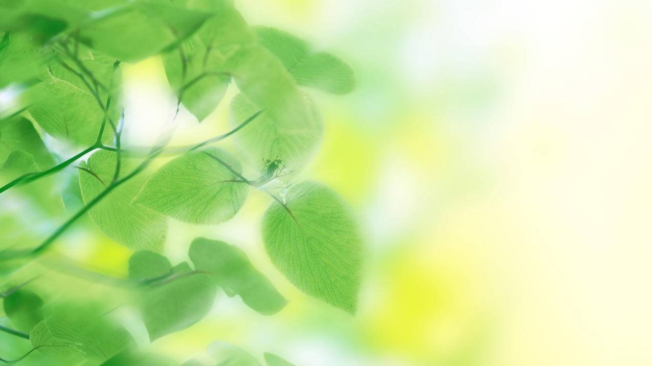 拼多多助力活动频繁出