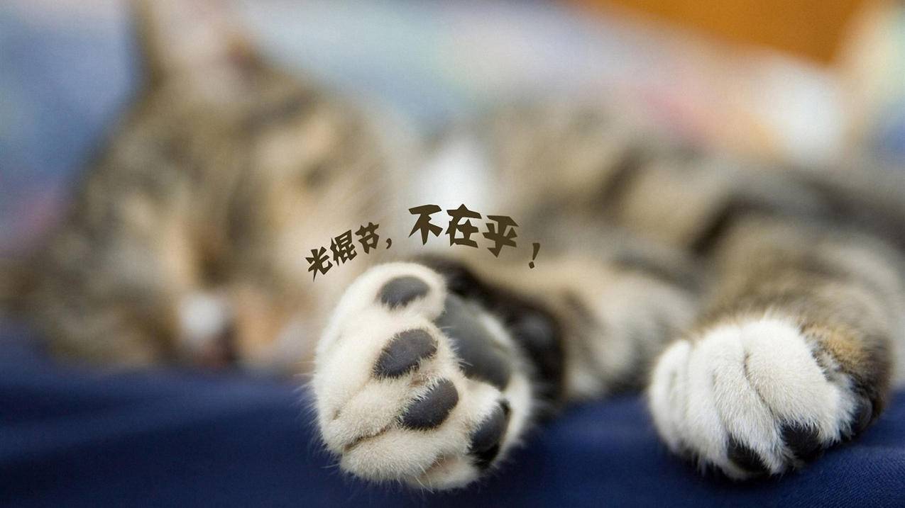 拼多多助力服务，轻松寻找与使用指南_拼多多助力