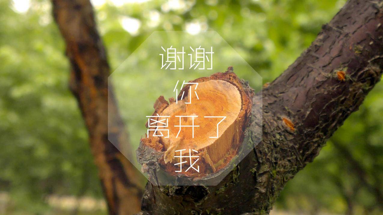 拼多多助力，笑出你的购物新姿势_拼多多助力