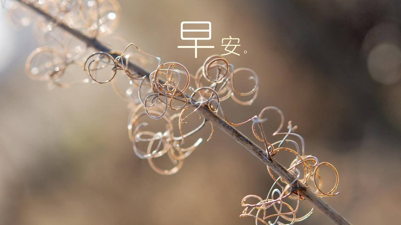拼多多在线免费助力网